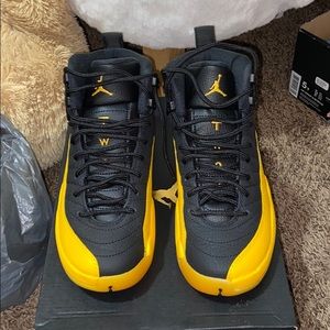 University Gold 12s